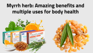 Myrrh herb